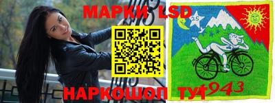стафф Чебоксары