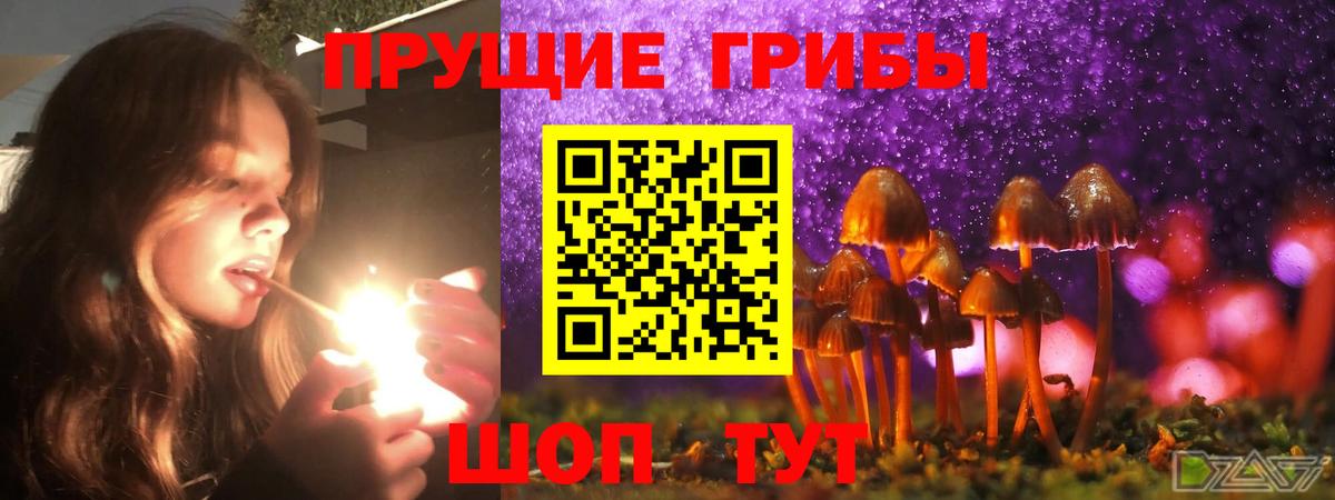 Луга  Галлюциногенные грибы ЛСД  Псилоцибиновые грибы прущие грибы  Вход с VPN 