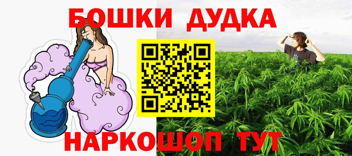 Бошки Шишки планчик Луга